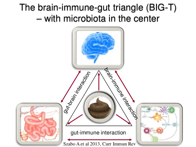 Brain Immune Gut Triangle