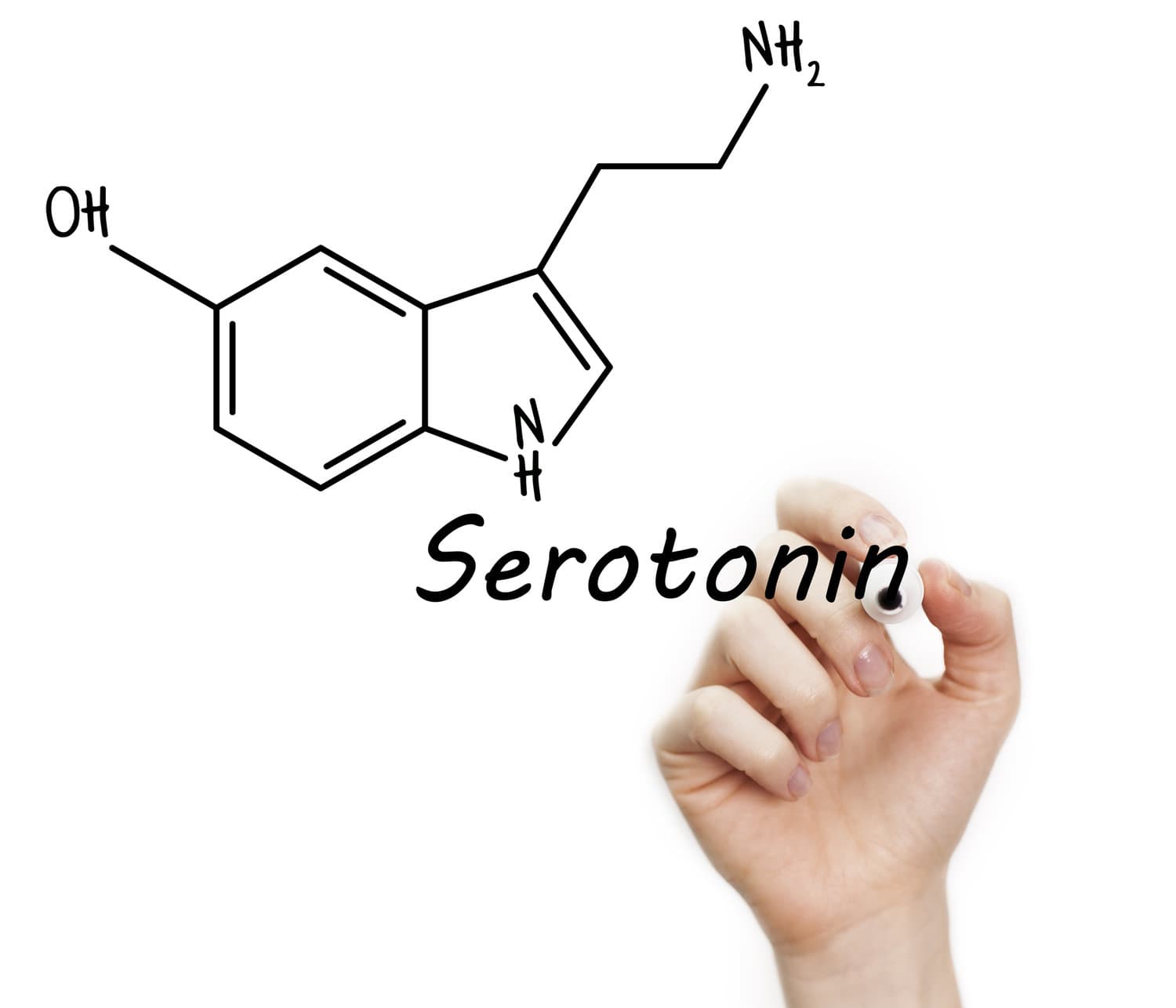 Scientific whiteboard info on serotonin